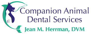Companion Animal Dental Services